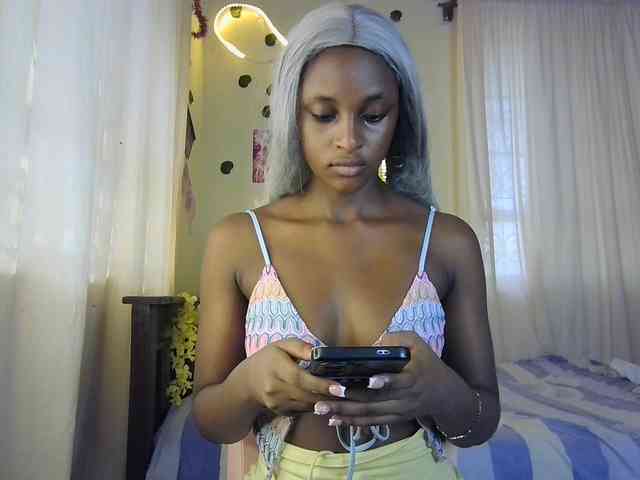 Ambrosiana webcam