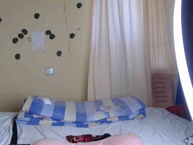 Ambrosiana webcam