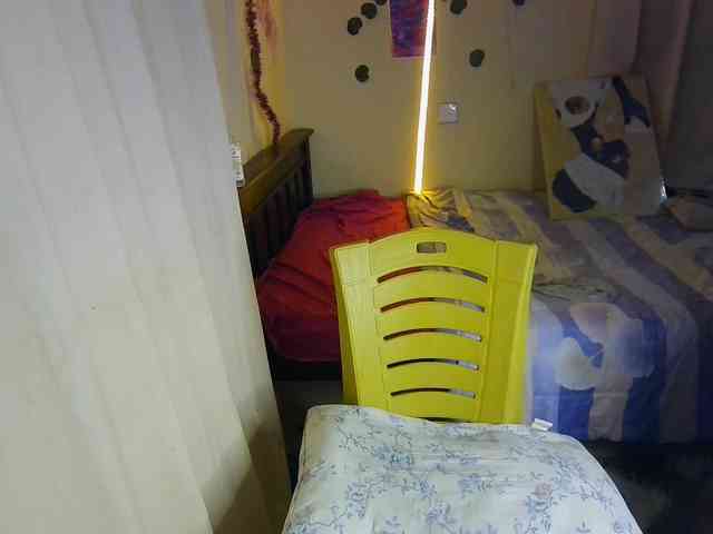 Ambrosiana webcam