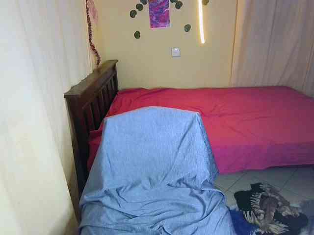 Ambrosiana webcam