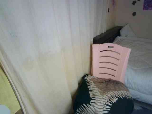 Ambrosiana webcam
