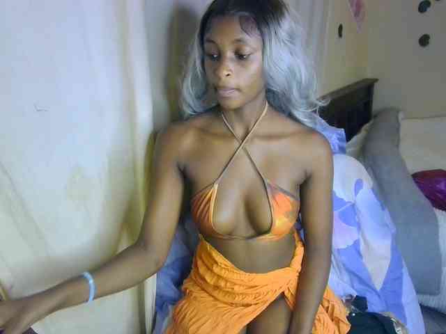 Ambrosiana webcam