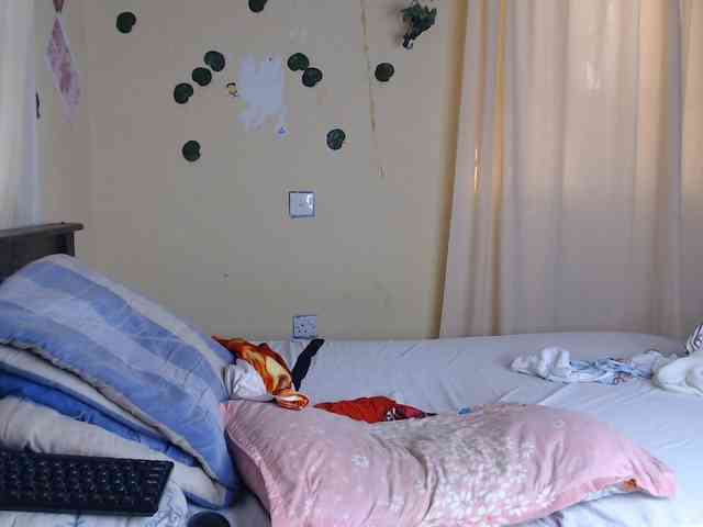 Ambrosiana webcam