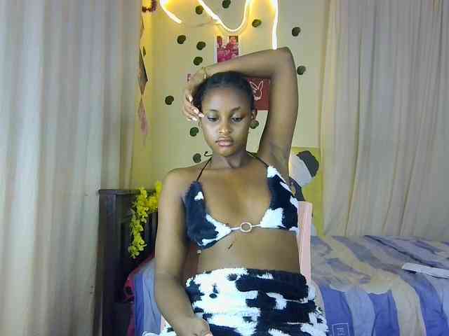 Ambrosiana webcam