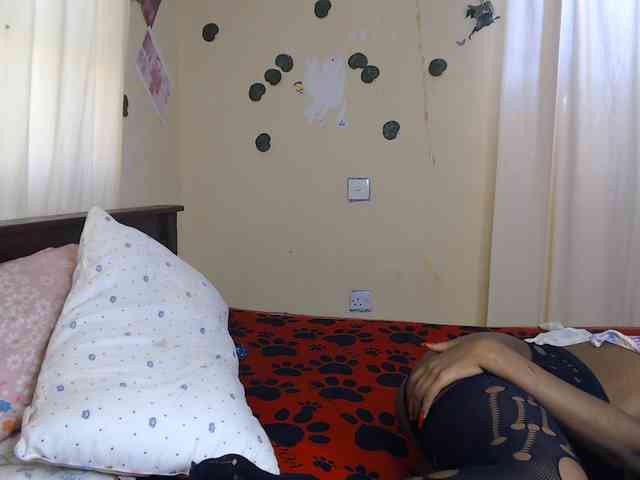 Ambrosiana webcam