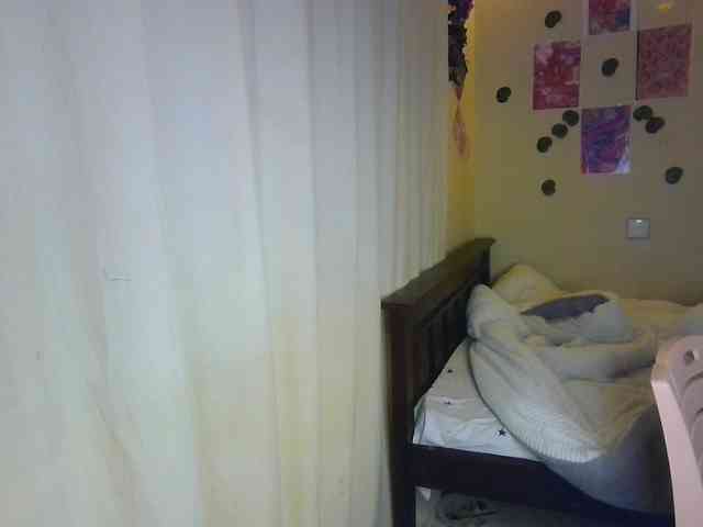 Ambrosiana webcam