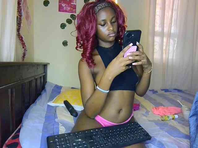 Ambrosiana webcam