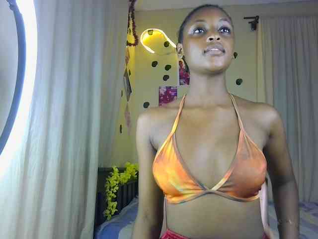Ambrosiana webcam