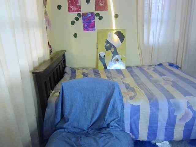 Ambrosiana webcam