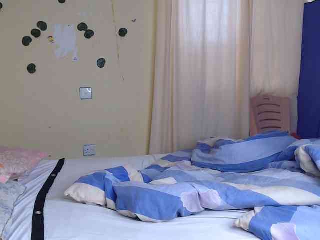 Ambrosiana webcam