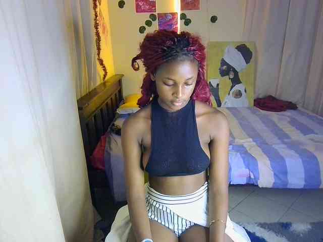 Ambrosiana webcam
