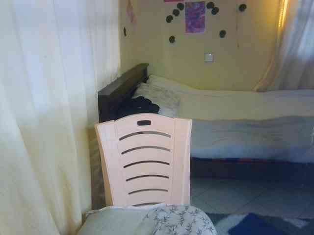 Ambrosiana webcam