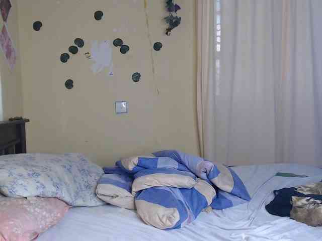Ambrosiana webcam