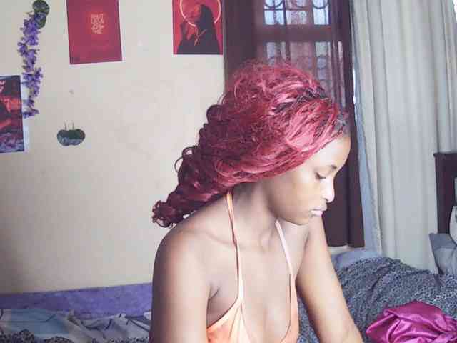Ambrosiana webcam