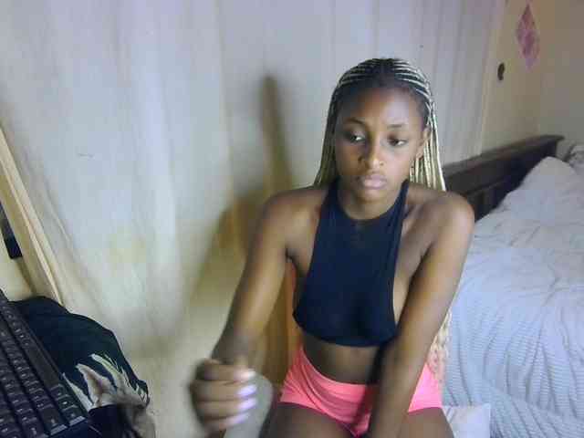 Ambrosiana webcam