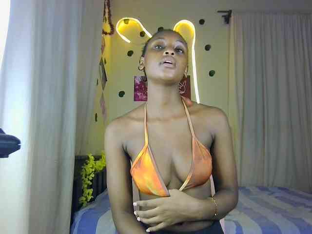 Ambrosiana webcam