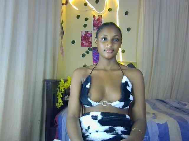 Ambrosiana webcam