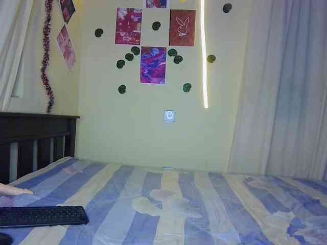 Ambrosiana webcam