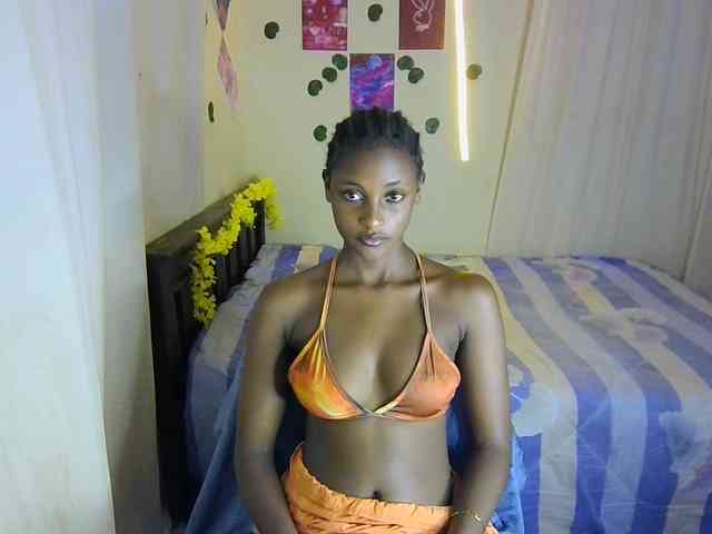 Ambrosiana webcam