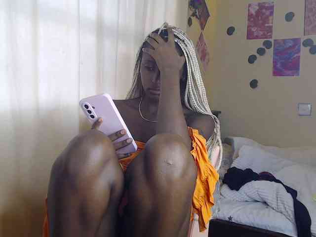 Ambrosiana webcam