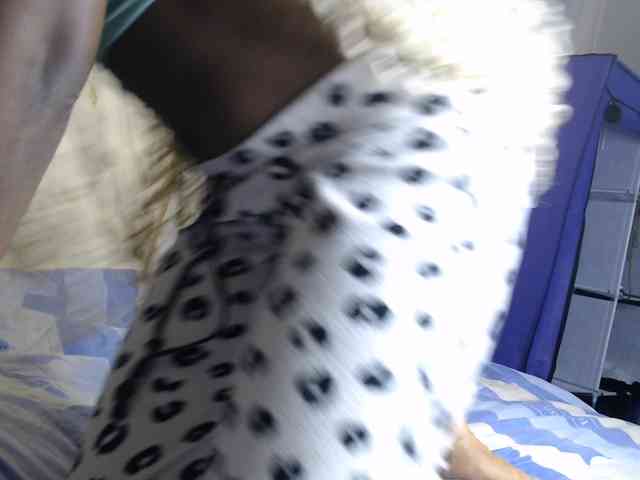 Ambrosiana webcam