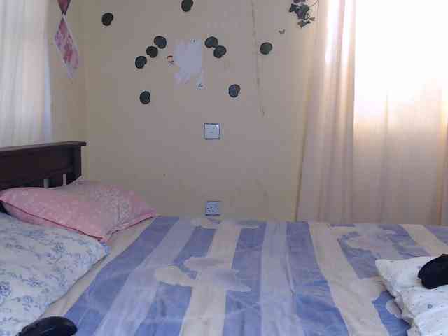 Ambrosiana webcam