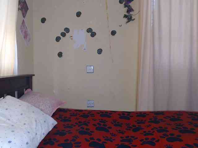 Ambrosiana webcam