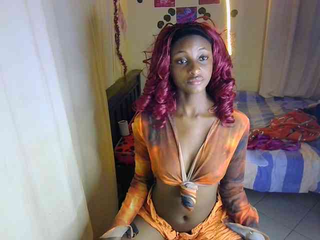 Ambrosiana webcam