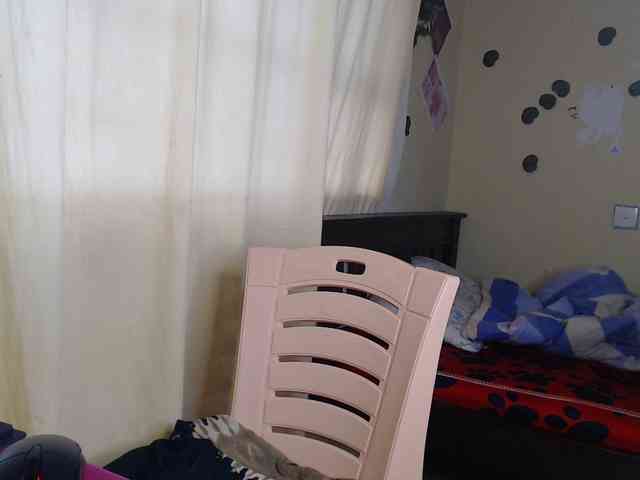 Ambrosiana webcam