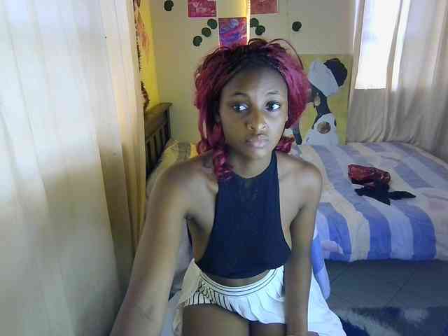 Ambrosiana webcam