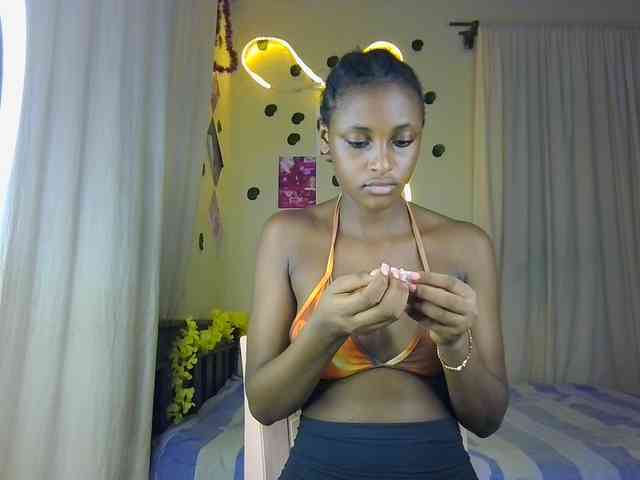 Ambrosiana webcam