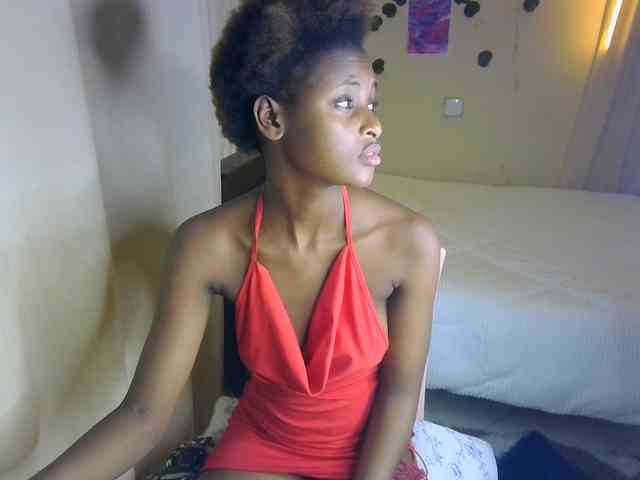 Ambrosiana webcam