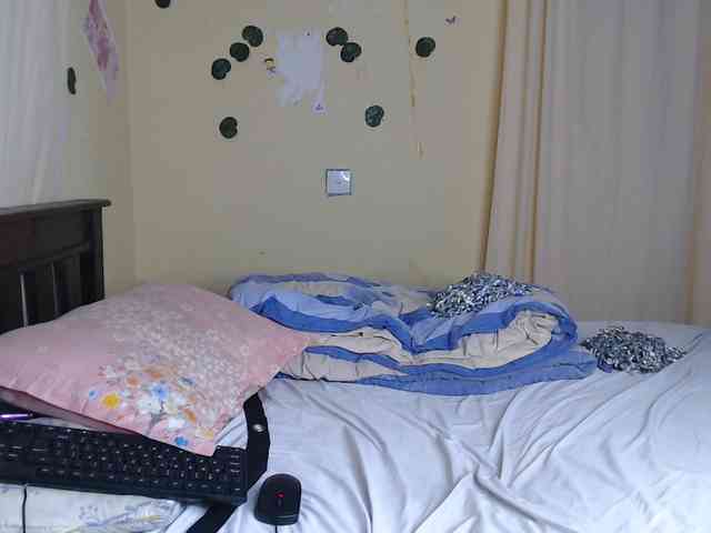 Ambrosiana webcam