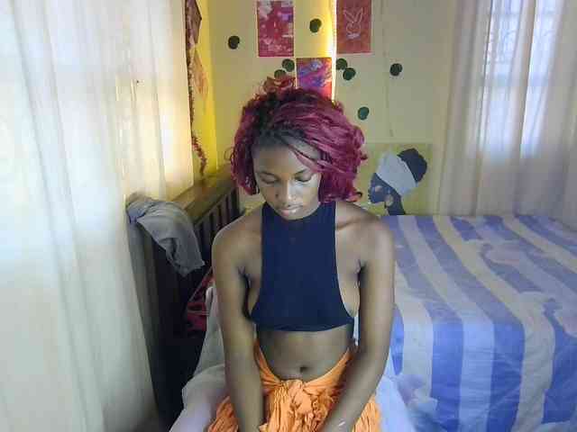 Ambrosiana webcam