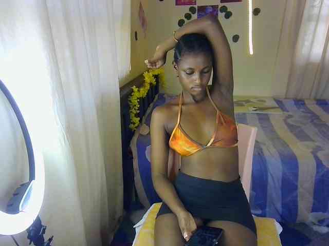Ambrosiana webcam