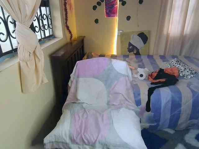 Ambrosiana webcam