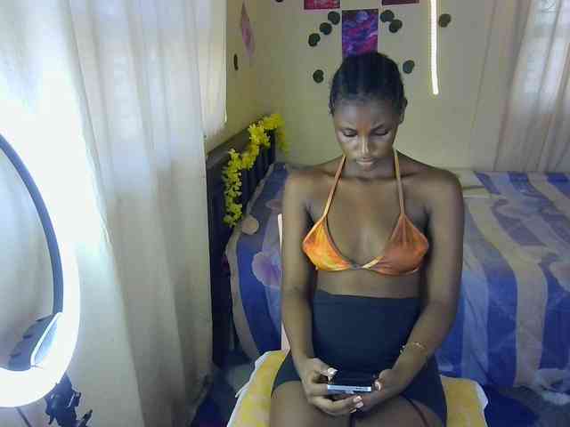 Ambrosiana webcam
