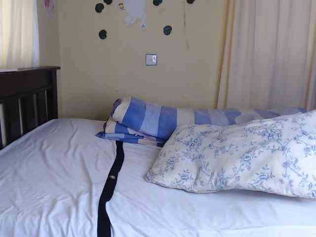 Ambrosiana webcam