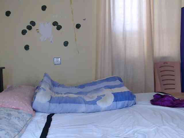 Ambrosiana webcam