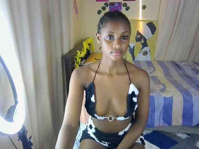 Ambrosiana webcam
