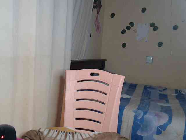 Ambrosiana webcam