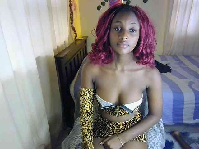 Ambrosiana webcam