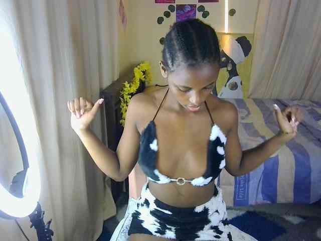 Ambrosiana webcam