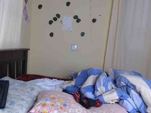 Ambrosiana webcam