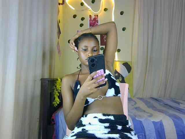 Ambrosiana webcam