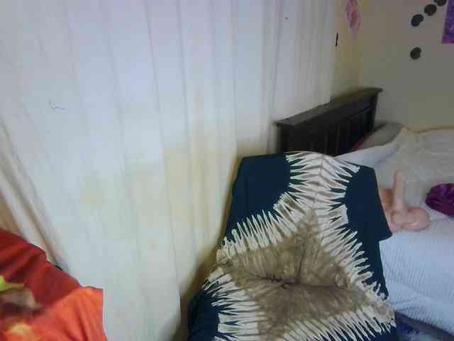 Ambrosiana webcam