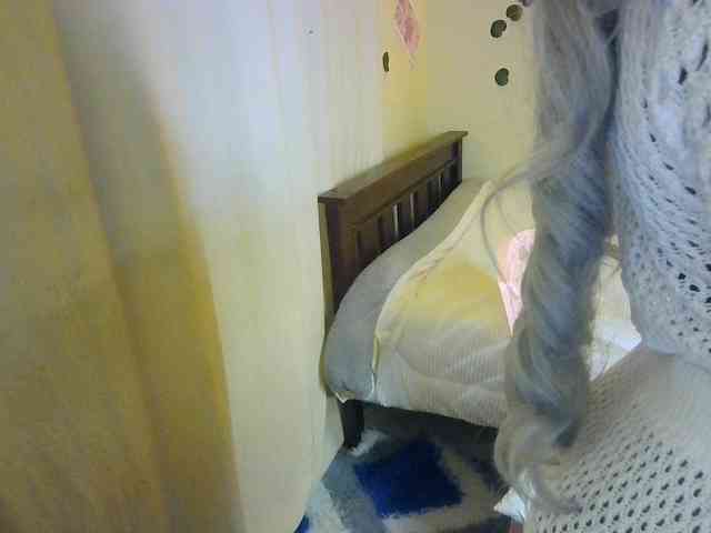 Ambrosiana webcam