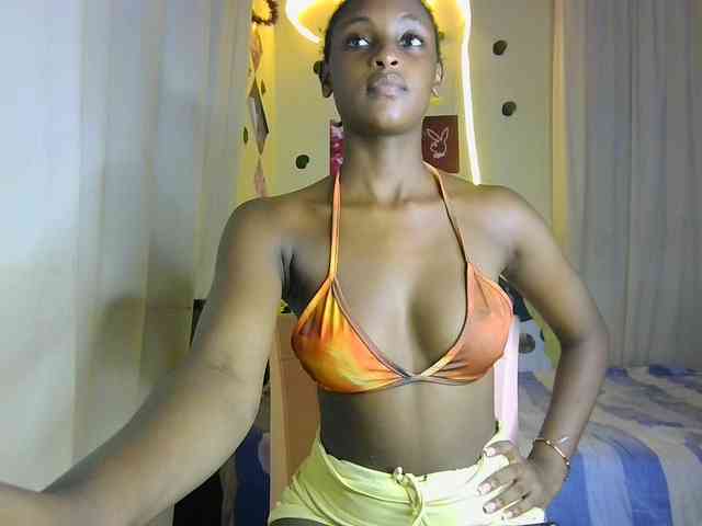 Ambrosiana webcam