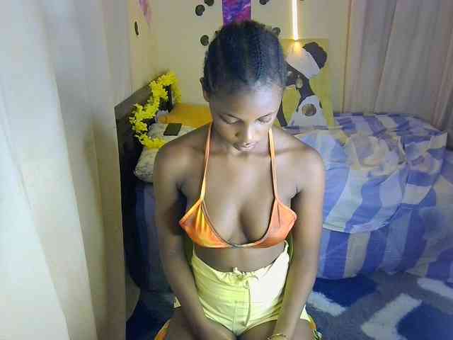Ambrosiana webcam