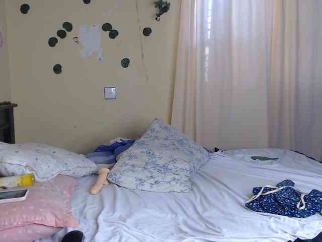 Ambrosiana webcam